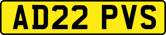 AD22PVS