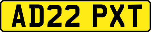 AD22PXT
