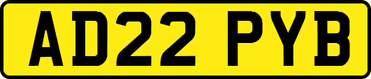 AD22PYB