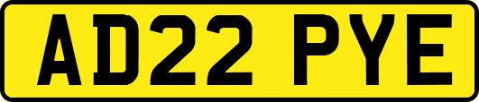 AD22PYE