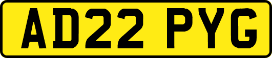 AD22PYG