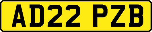 AD22PZB