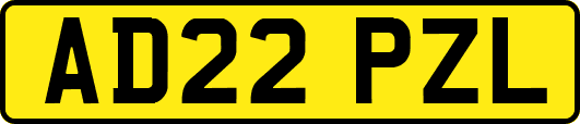AD22PZL
