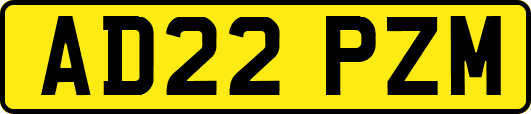 AD22PZM