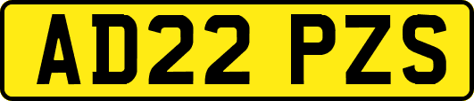 AD22PZS