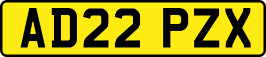 AD22PZX