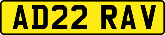 AD22RAV