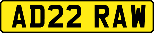 AD22RAW