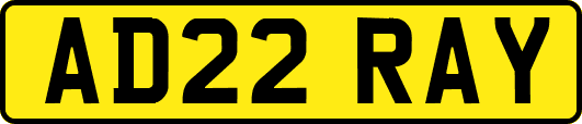 AD22RAY