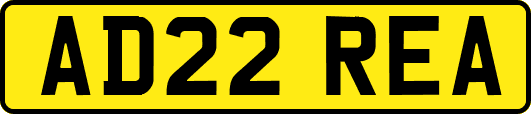 AD22REA