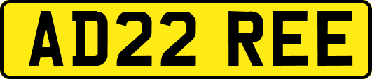 AD22REE