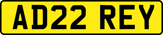 AD22REY