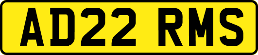 AD22RMS