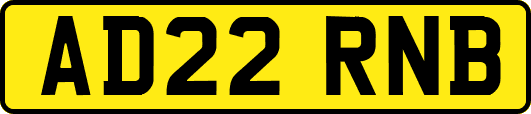 AD22RNB