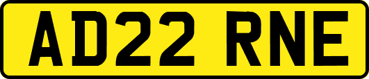 AD22RNE