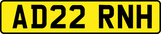 AD22RNH