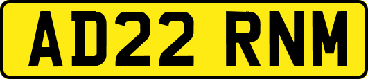 AD22RNM
