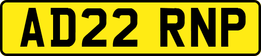 AD22RNP