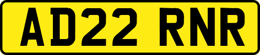 AD22RNR