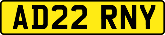 AD22RNY