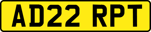 AD22RPT