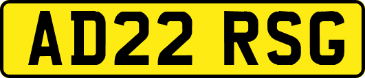 AD22RSG