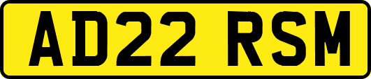 AD22RSM