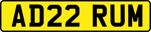 AD22RUM