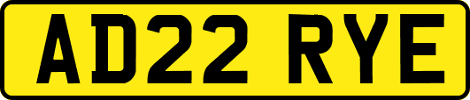 AD22RYE