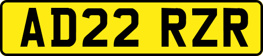 AD22RZR