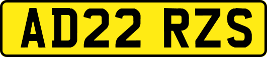 AD22RZS