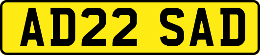 AD22SAD