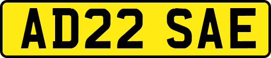 AD22SAE