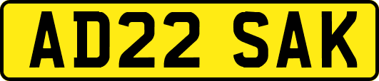 AD22SAK