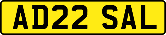AD22SAL