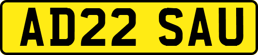 AD22SAU