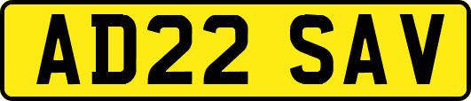 AD22SAV