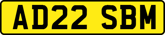 AD22SBM