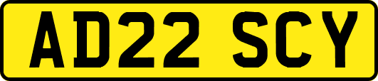 AD22SCY