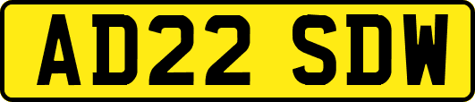 AD22SDW