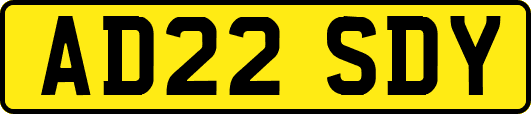 AD22SDY