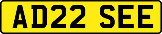 AD22SEE