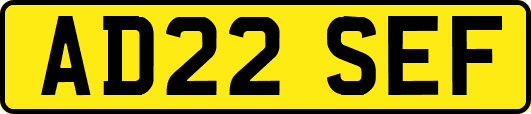 AD22SEF