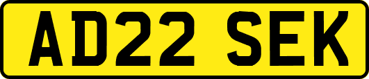 AD22SEK