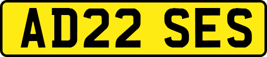 AD22SES