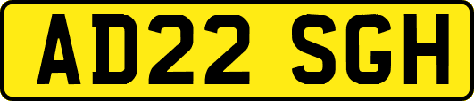 AD22SGH