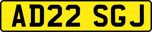 AD22SGJ
