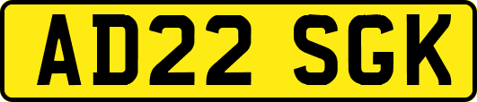 AD22SGK