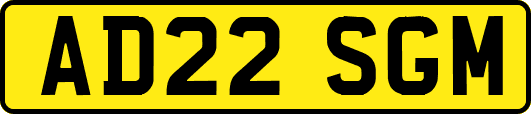 AD22SGM