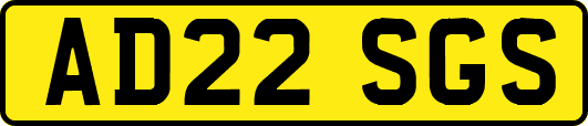 AD22SGS